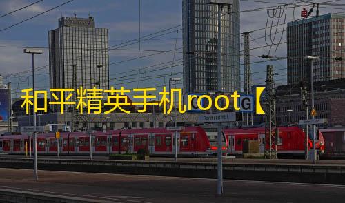 和平精英手机root【787】何平内核-科技